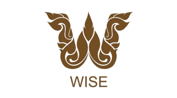 Wise watches