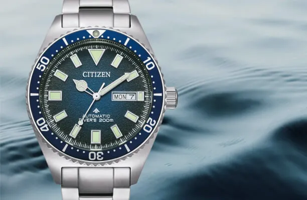 Unidirectional bezel watches
