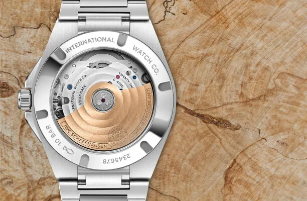 Display caseback watches