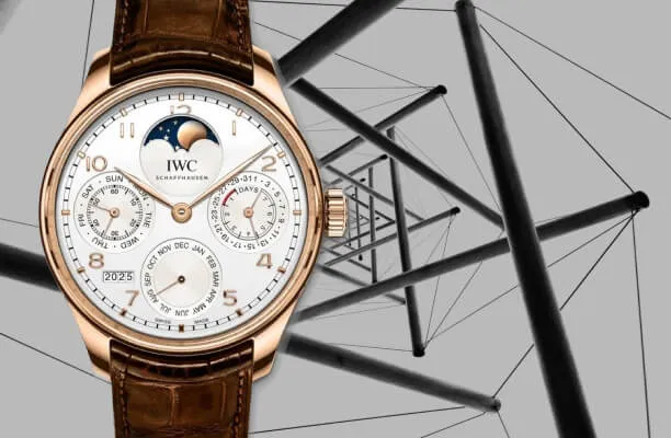 Perpetual calendar watches